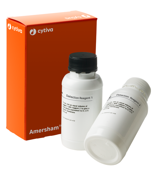 Kit ECL para Western Blot Amersham