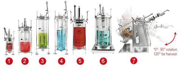 Sistema Fermentación de Laboratorio Winpact, Major Science - Imagen 4