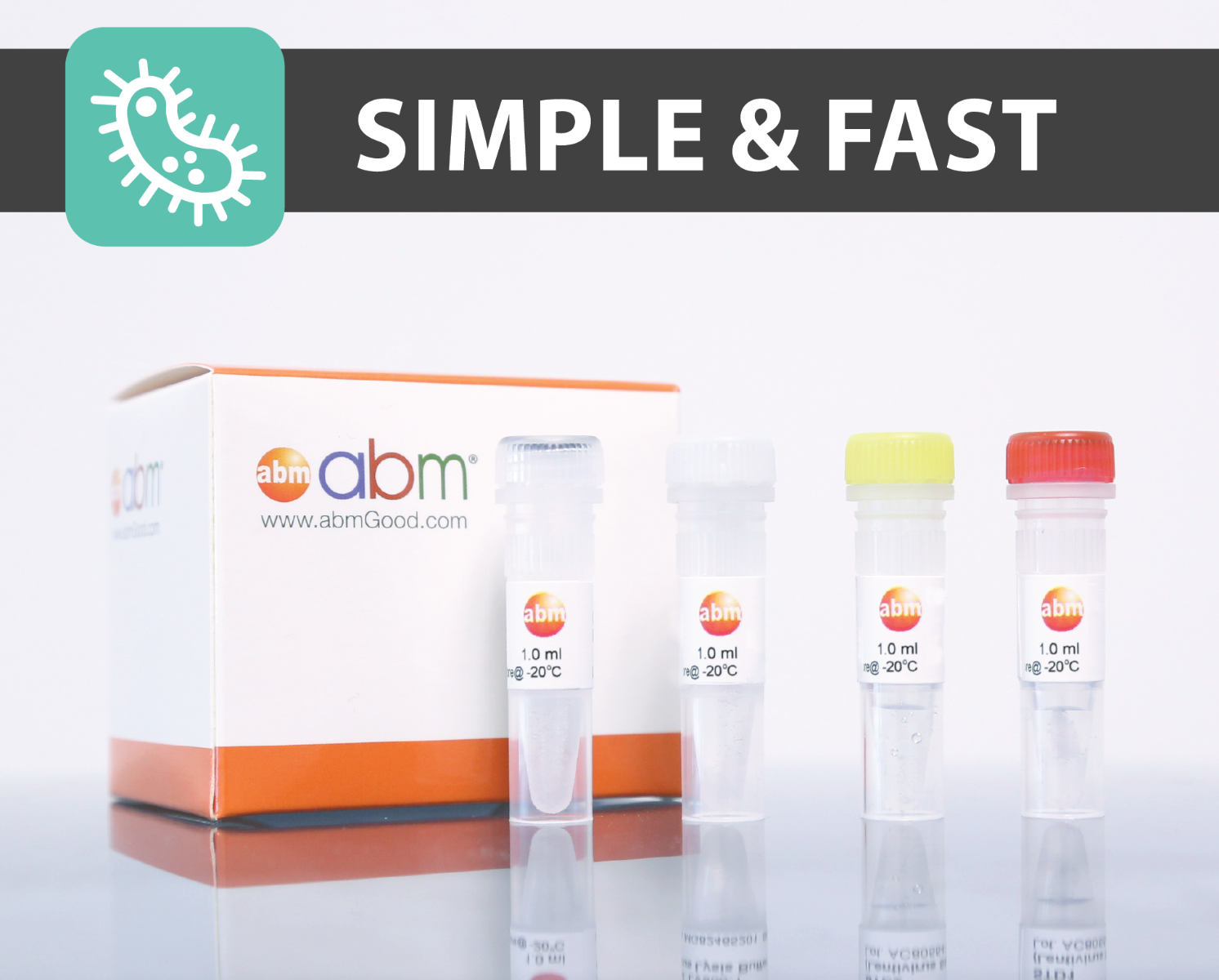 pcr-mycoplasma-detection-kit-gene-x-press
