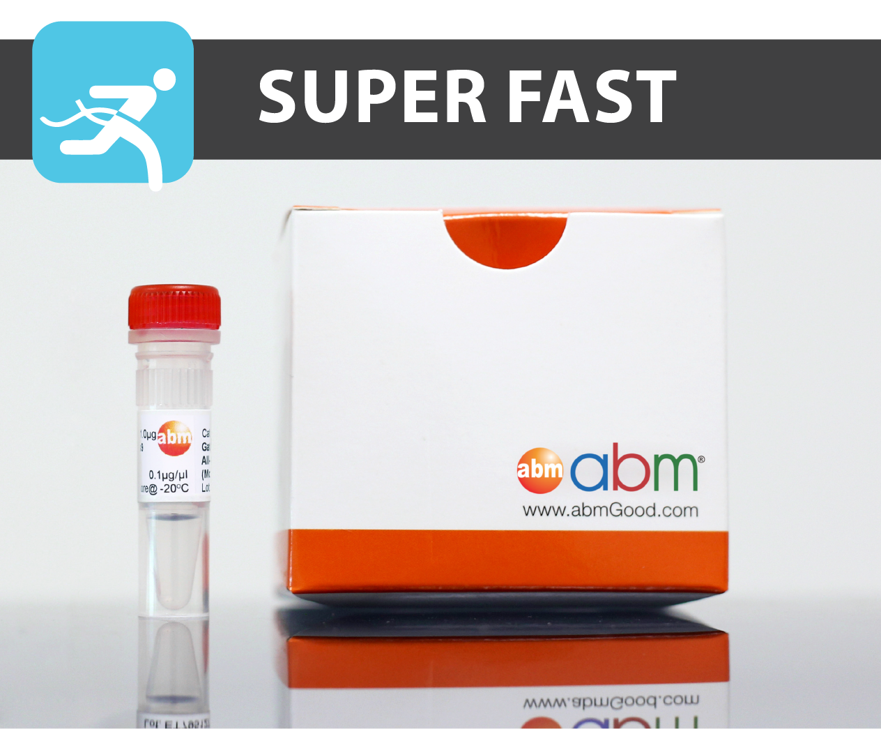 BlasTaq DNA Polymerase